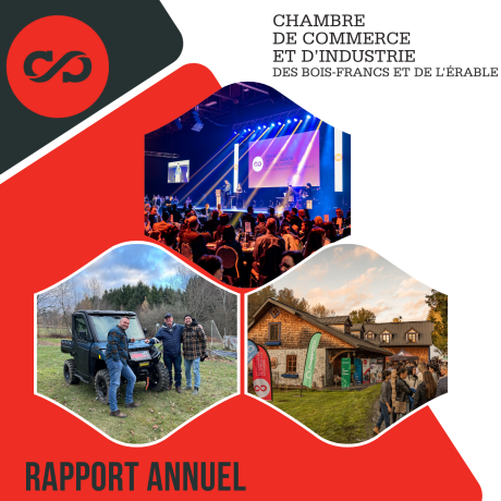 RAPPORT ANNUEL 2024 | 2025